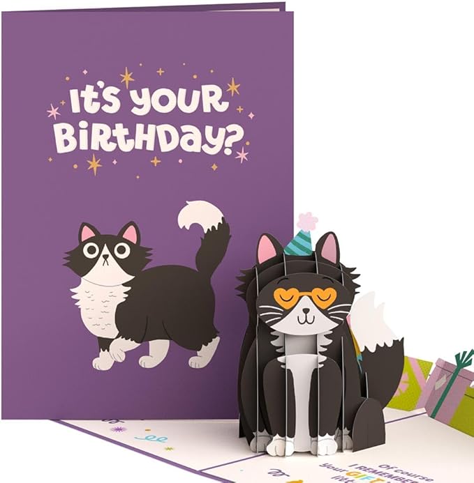 Lovepop Happy Birthday Pop-Up Card for Her and Him- 3D Greeting Cards for Boys, Girls, Men, Women - Your Gift Is in the Litterbox - 5" x 7" Cat Card - Blank Note Card & Envelope Included