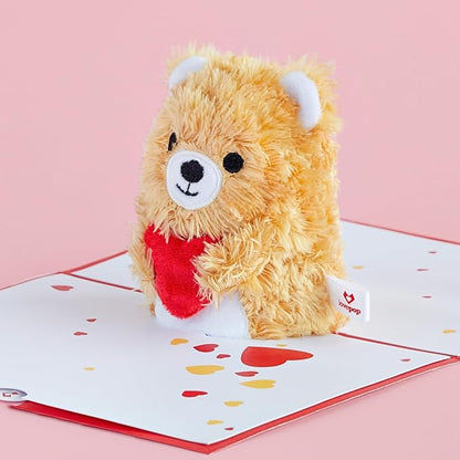 Lovepop Plushpop Soft Animal Pop-Up Card for Her and Him - 3D Bear Everyday Greeting Card for Boys, Girls, Men, Women - Love You - 6" x 8" Card - Brown