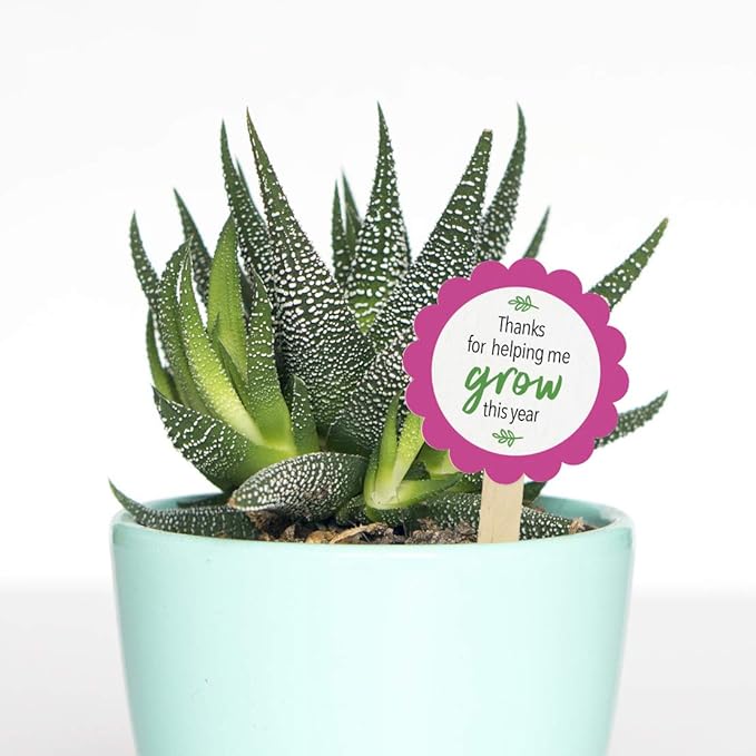 Printworks White Cardstock, Standard, 67 lb. Vellum, 92 Bright, 250 sheets, 8.5 x 11, For Office, Home & School Printing, Craft Projects (00564)