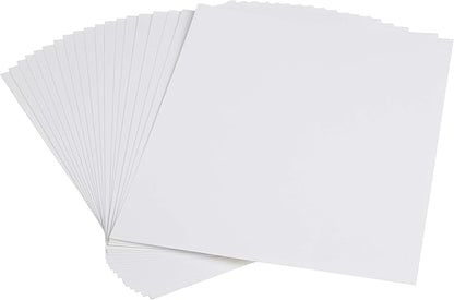 Canon 2768B022 Photo Paper Pro Platinum, 8.5 x 11 Inches, 20 Sheets (Pack of 2)