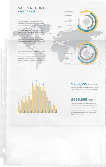 Avery Semi-Clear Standard Weight Sheet Protectors for 3 Ring Binders, Top Load, 2 Packs, 200 Page Protectors Total (46021)