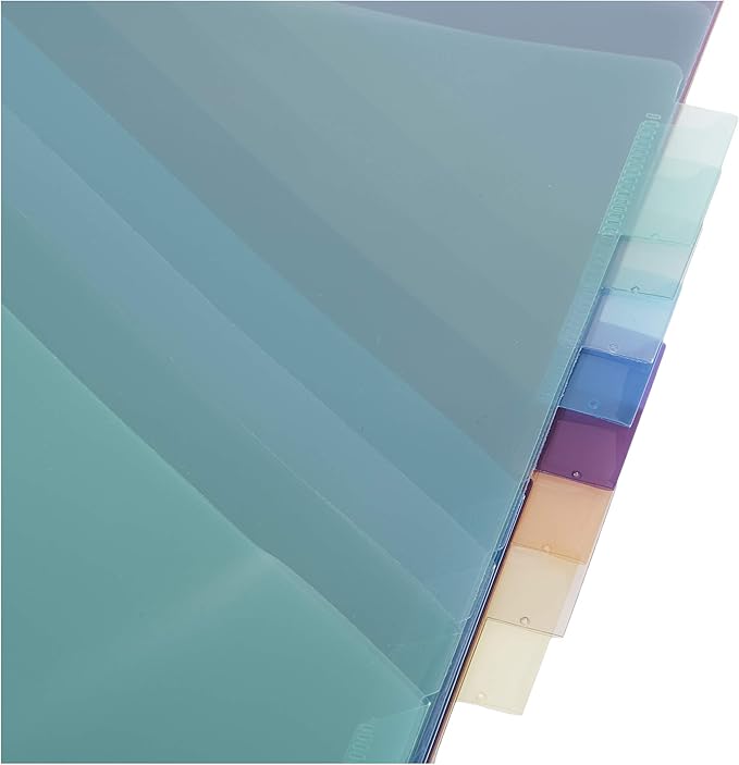 Amazon Basics Tab Dividers for 3 Ring Binder, Two Pocket, Letter Size, Assorted Colors, 24 Count