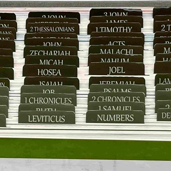 Thinkor Reposition Bible Tabs, Large Print Lanimated Stickers, Easy to Read and Apply Bible Tabs for Women and Man (Four Green)