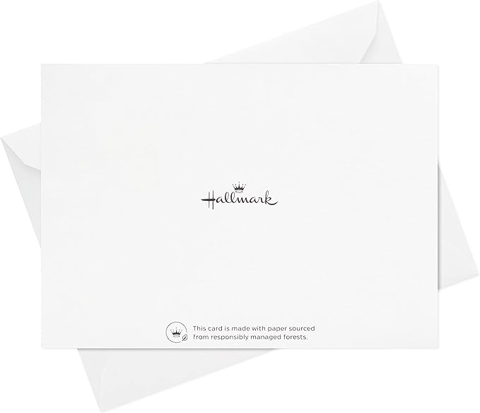 Hallmark Pack of Thank You Cards, Elegant Silver Foil (40 Thank You Notes with Envelopes)