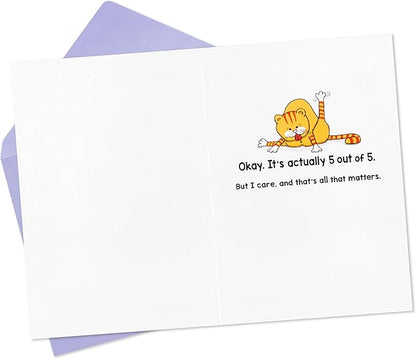 Hallmark Shoebox Funny Birthday Card (Cats Don't Care)