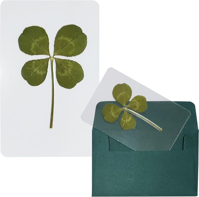 Genuine Real Four Leaf Clover Card Bookmark, Five Leaf Clover Card, Good Luck Gift Card, Invitation Card in Envelope, Good Luck Charm Deco (Big Four-Leaf Clover)