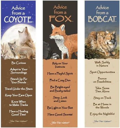 Advice from Nature 3 Bookmark Small Predator Set, Laminated with Glossy Finish, Printed on Recycled Paper - Bobcat, Fox, Coyote (AMBM-SMPRED)