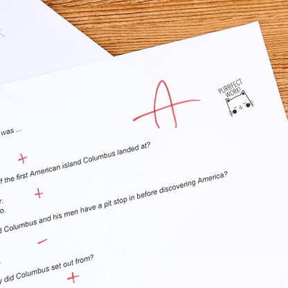 Perfect Work Kitty Cat Themed Stamp / 2000 Plus Self Inking Teacher Animal Stamper / 9/16" Small Black Imprint Cat Pun Planner Worksheet Homework Classroom Stamp