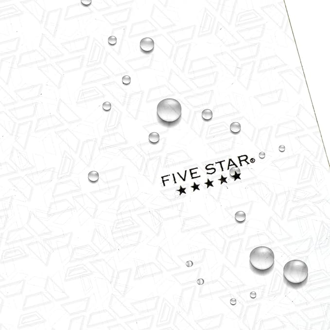 Five Star 2-Pocket Folder, Plastic Folder with Stay-Put Tabs, Fits 3 Ring Binder, Holds 8-1/2" x 11" Paper, White (333420I-ECM)