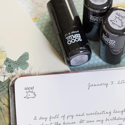 Nice! Hedgehog Stamp / 2000 Plus Self Inking Teacher Stamp/Black Imprint Stamper/School Worksheet Stamp