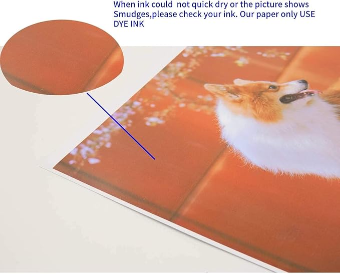 Koala Glossy Inkjet Photo Paper 5X7 Inches 48lb 100 Sheets Professional Glossy Photographic Paper Compatible with Inkjet Printer Use DYE INK 180GSM