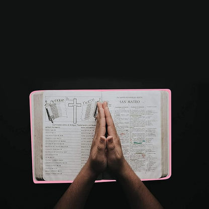 2 Pack Stretchable Book Sleeve Covers, for Paperbacks Hardcover Textbooks up to 9" x 12", Office Supplies with Free Sticker Labels (Rose Red + Pink)