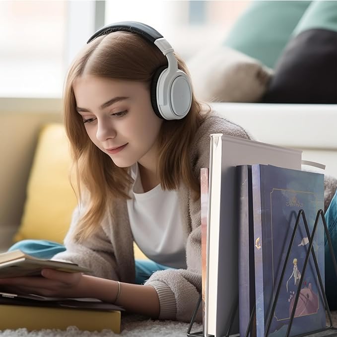 Goiio 2 Pcs Triangle File Holder, 5 Slot Metal Magazine Holder, for Office Home, Black