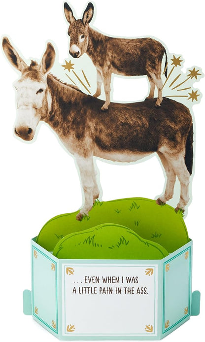 Hallmark Funny Pop Up Birthday Card from Son or Daughter (Donkeys, Pain in the...) Paper Wonder Shoebox 3D Card