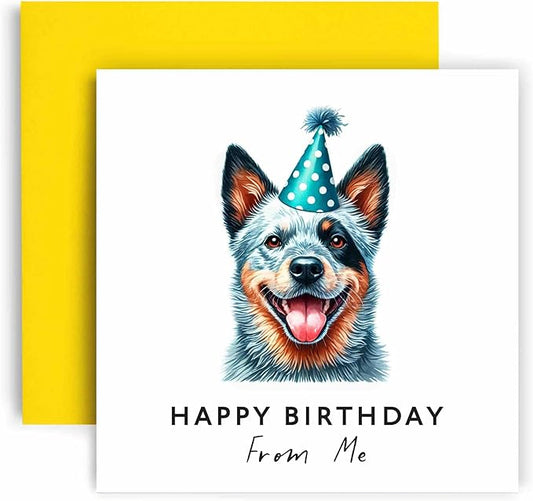 Huxters Birthday Card from the Dog – Australian Cattle Dog - Happy Birthday to Dog Mum and Dog Dad – Birthday Card from the Dog to Friends Family First Birthday (Australian Cattle Dog)