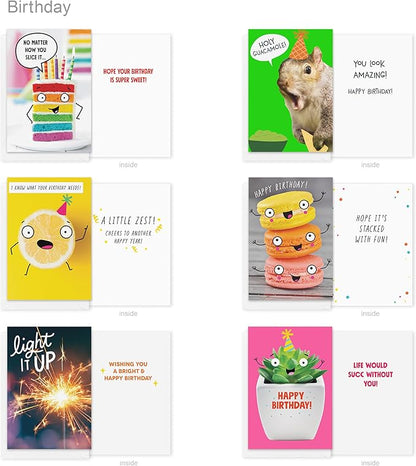 Recycled Paper Greetings 30-Count Funny Birthday Card Assortment with Envelopes, Seals, and Storage Box by Vicky Barone
