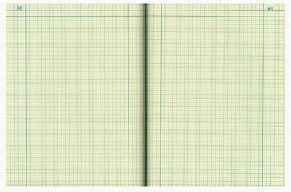 National Brand Computation Notebook, 4 X 4 Quad, Brown, Green Paper, 11.75 x 9.25 Inches, 75 Sheets (43648)