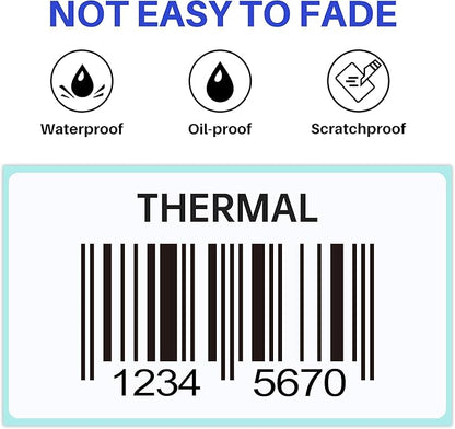 Essential 2 1/4 x 1 1/4 Inch Direct Thermal Labels, White, Permanent Adhesive, Perforations Between Labels, 1000 per of RollLabels (1 Roll)