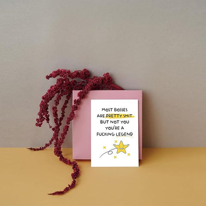 SuperShunhu Funny Birthday Card for Boss, Retirement Card Gift for Men Women, Humorous Boss Day Card, Leaving Work Card, Thank You Card for Boss Manager