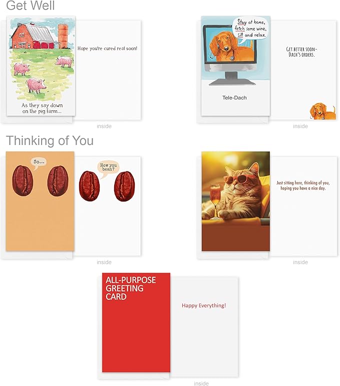 Recycled Paper Greetings 30-Count Funny All Occasion Card Assortment with Envelopes, Seals, and Storage Box by Hey Look!