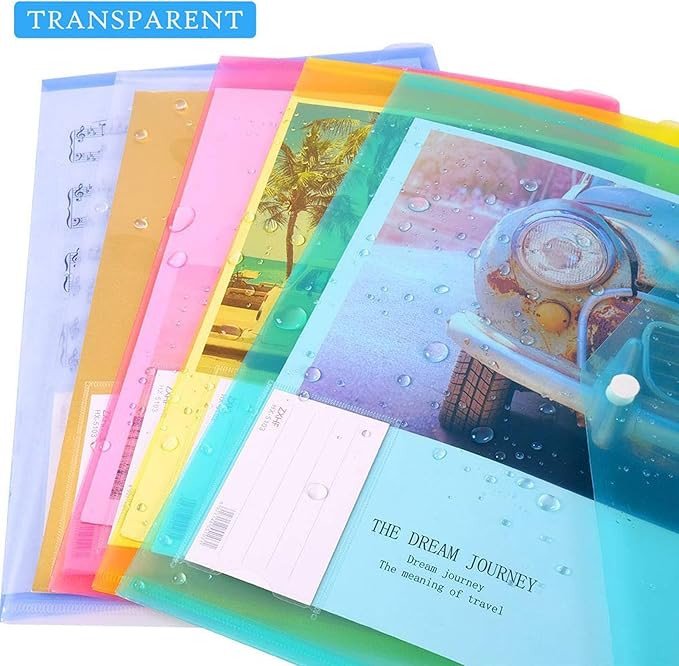 10 Pack Plastic File Folders with Label Pockets - US Letter & A4 Size Clear Document Envelopes, Assorted Color Poly Organizers for Office School Supplies