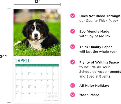 2025 Puppies Monthly Wall Calendar by Bright Day, Includes Over 300 Stickers, 12 x 12 Inch