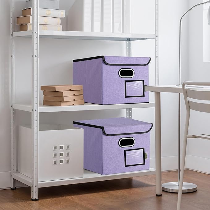 BALEINE File Organizer Box with Lid, Collapsible File Folder Organizer with Plastic Slide, Hanging File Folder Box for Office Document Storage (2 Pack, Purple)