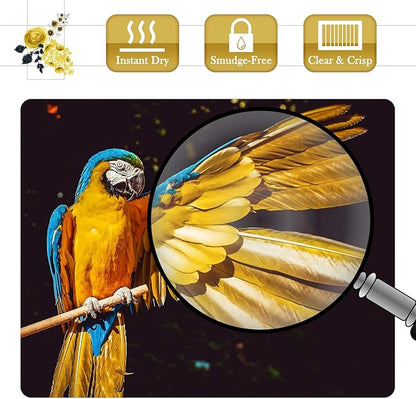 A-SUB Premium Photo Paper Luster 13x19 Inch 66lb for Inkjet Printers 50 Sheets, Single Sided