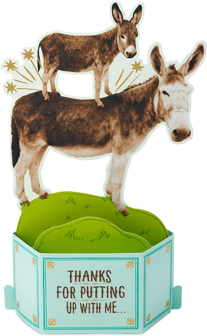 Hallmark Funny Pop Up Birthday Card from Son or Daughter (Donkeys, Pain in the...) Paper Wonder Shoebox 3D Card