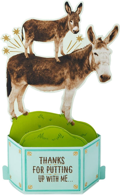 Hallmark Funny Pop Up Birthday Card from Son or Daughter (Donkeys, Pain in the...) Paper Wonder Shoebox 3D Card