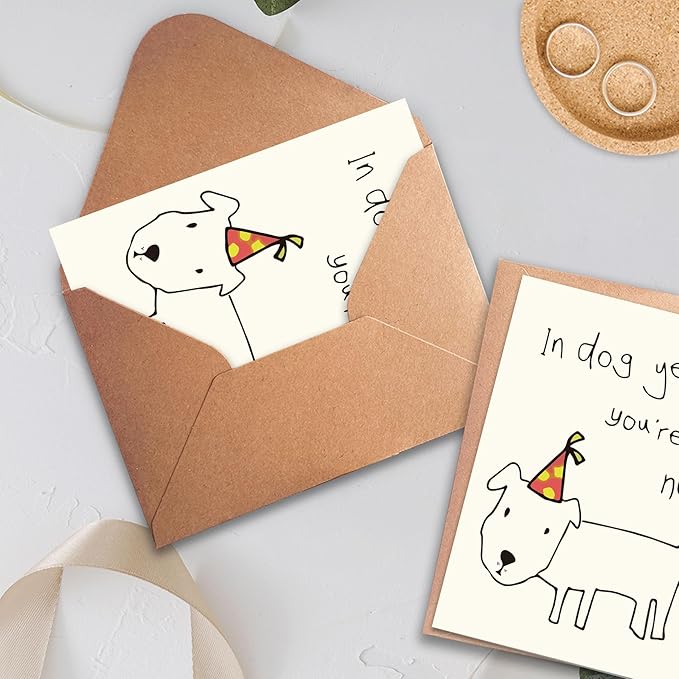 Funny Birthday Cards for Men, Women, Brother, Sister, Dad, Mom, Husband, Friend, and Anyone | Humorous Gifts | Unique Birthday Decoration