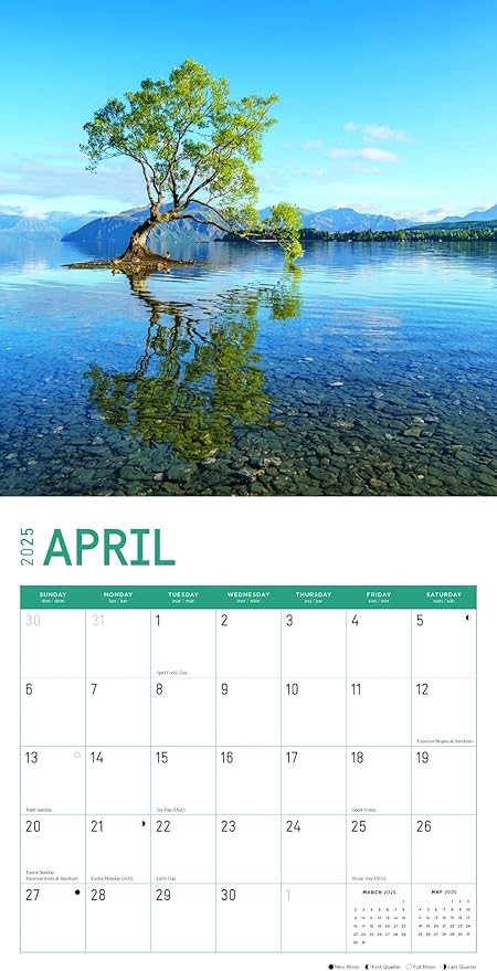 2025 Paradise Monthly Wall Calendar by Bright Day, Includes Over 300 Stickers, 12 x 12 Inch