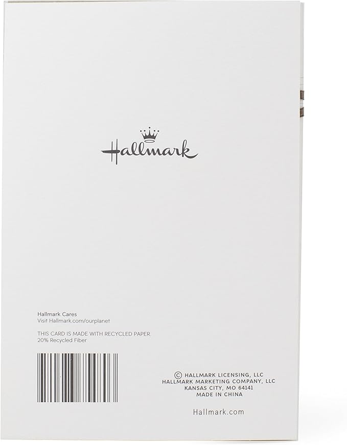 Hallmark Sympathy Greeting Card (For You and Your Family)