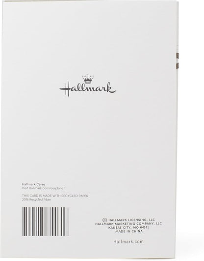 Hallmark Sympathy Greeting Card (For You and Your Family)