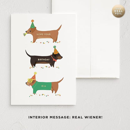 Minted Birthday Greeting Cards Pack, Birthday Cards Variety Pack, Stylish & Curated Foldable Happy Birthday Cards with Envelopes, Blank & Messages Inside, Designed by Independent Artists, Set of 5