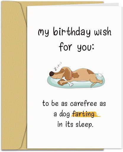 Funny Birthday Card for Him/Her, Humor Birthday Card for Family Friends, Bday Card for Sister Brother, My Birthday Wish For You To Be As Carefree As A Dog Farting In Its Sleep