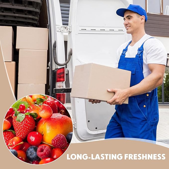 Nuanchu 30 Pieces Double Insulated Mailing Boxes with Aluminum Foil Insulated Bag Liner Cooler Small Mailing Box for Mailing Frozen Food Cold Mailing Boxes for Mailing Packing Moving, 9" x 5" x 6"