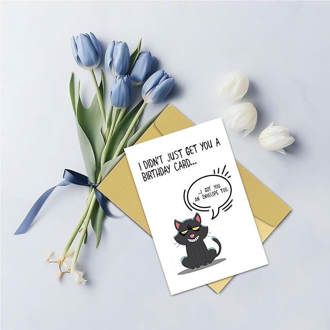 Funny Birthday Card for Him or Her, Witty Birthday Cards Gift for Partner or Friends, 'I Didn't Just Get You A Birthday Card... I Got You An Envelope Too'