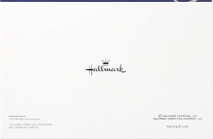 Hallmark Christmas Cards Boxed with Envelopes, Happy Holidays (40 Blue Holiday Cards)