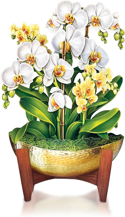 Freshcut Paper Pop Up Cards, Serenity Orchid, 12 Inch Life Sized Forever Flower Bouquet 3D Popup Greeting Card, Birthday Cards, Get Well Gifts, Blank Notecard & Envelope