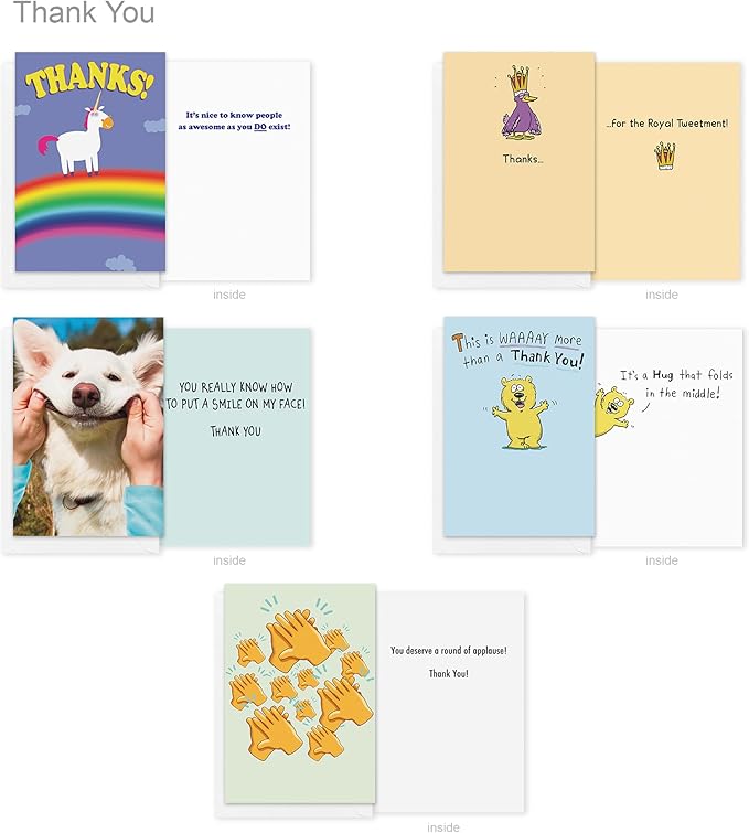 Recycled Paper Greetings 30-Count Funny All Occasion Card Assortment with Envelopes, Seals, and Storage Box by Hey Look!