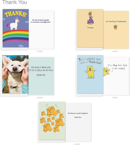 Recycled Paper Greetings 30-Count Funny All Occasion Card Assortment with Envelopes, Seals, and Storage Box by Hey Look!