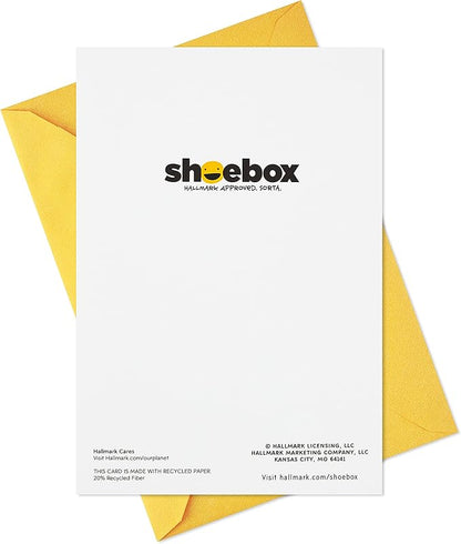 Hallmark Shoebox Pack of 2 Funny Birthday Cards (Toast and Goldfish)