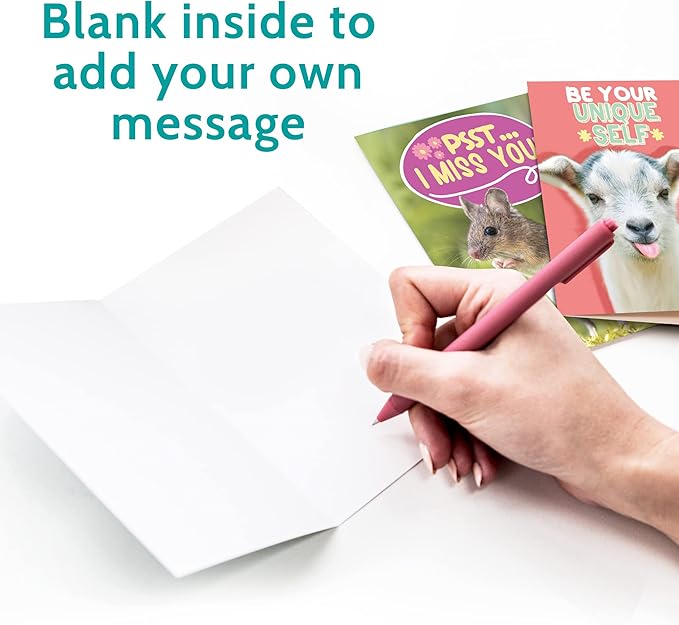 T MARIE 24 Funny Animal Greeting Cards - Humorous Designs with No Repeats - 4.5” x 6.25” Bulk Note Cards for Friends, Kids, Students, Teachers, Summer Camp and More