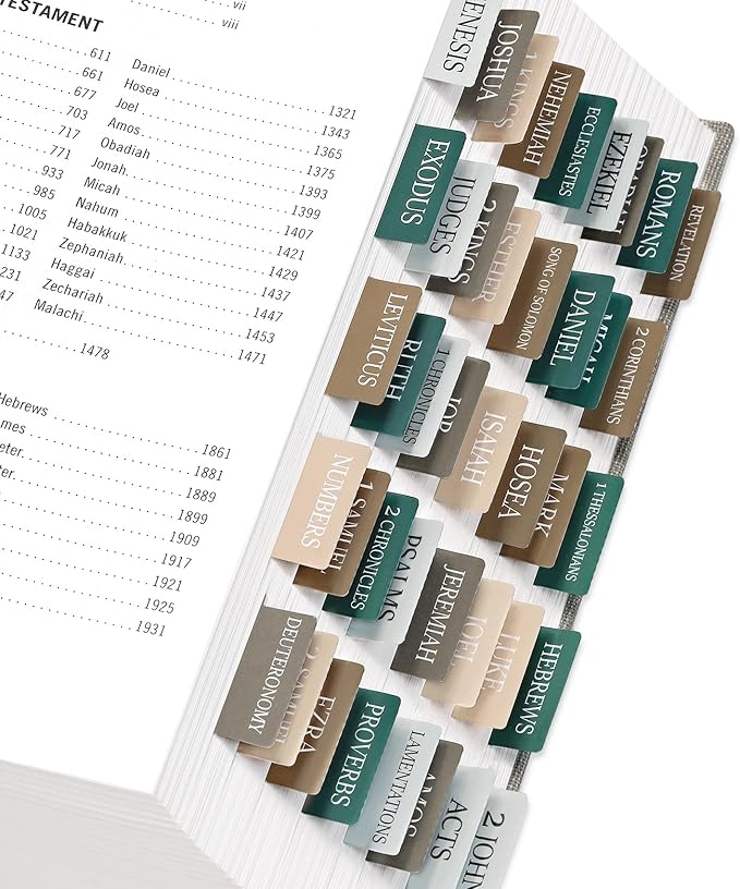 Bible Tabs for Women & Men, Laminated Bible Tabs for Study Bible, Large Print Neutral Bible Tabs for Easy Navigation, Bible Index Tabs, 66 Tabs Old & New Testament, Extra 9 Blank Tabs - Winter Wood