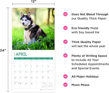 2025 Siberian Huskies Monthly Wall Calendar by Bright Day, Includes Over 300 Stickers, 12 x 12 Inch
