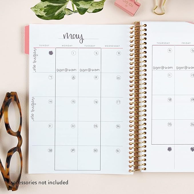A5 Spiral Bound Fitness Planner – Metallic Gold Rise - 5 Tabs with 160 Pages for Exercise Planning with Intro, Goal Setting, Movement, Progress Check-Ins, Notes & more - Erin Condren