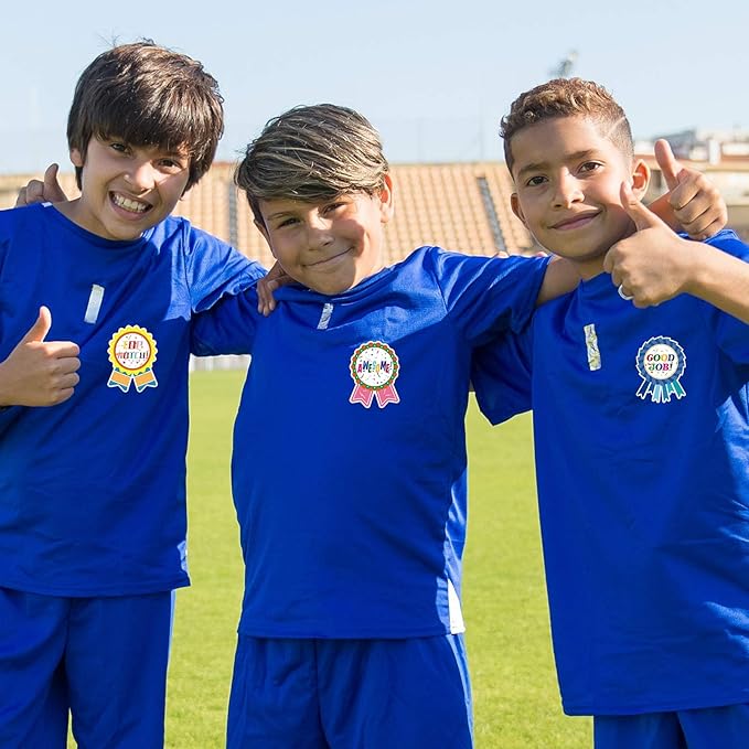 Reward Stickers Badge Designs,2.4×1.8 Inch Reward Labels Use on Classroom,Outdoor Sports Game,Party,Home,Encourage Stickers（264pcs,1bag）