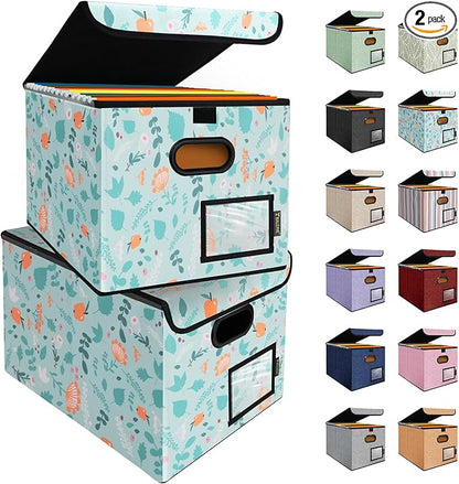 BALEINE File Organizer Box with Lid, Collapsible File Folder Organizer with Plastic Slide, Hanging File Folder Box for Office Document Storage (2 Pack, Spring Stroll)
