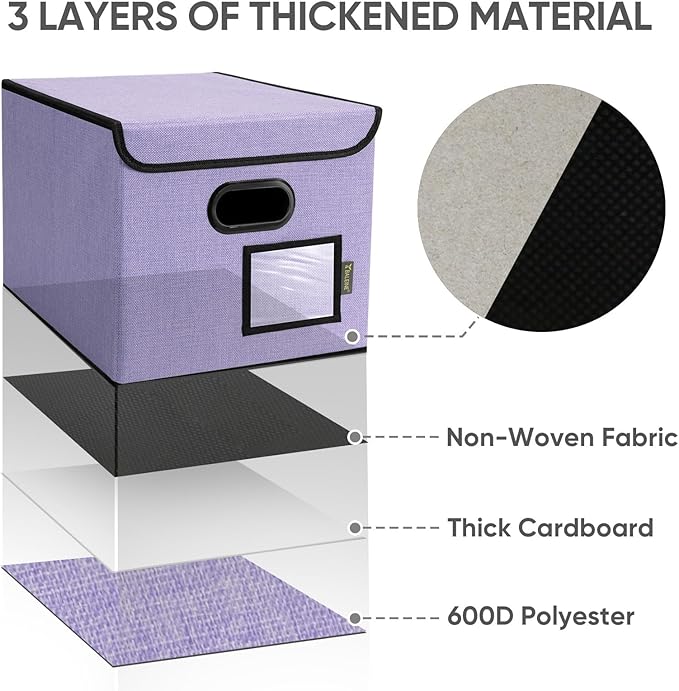 BALEINE File Organizer Box with Lid, Collapsible File Folder Organizer with Plastic Slide, Hanging File Folder Box for Office Document Storage (2 Pack, Purple)